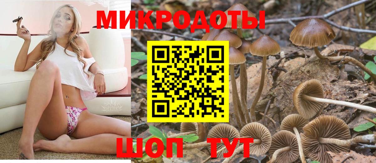 Галлюциногенные грибы MAGIC MUSHROOMS Полысаево