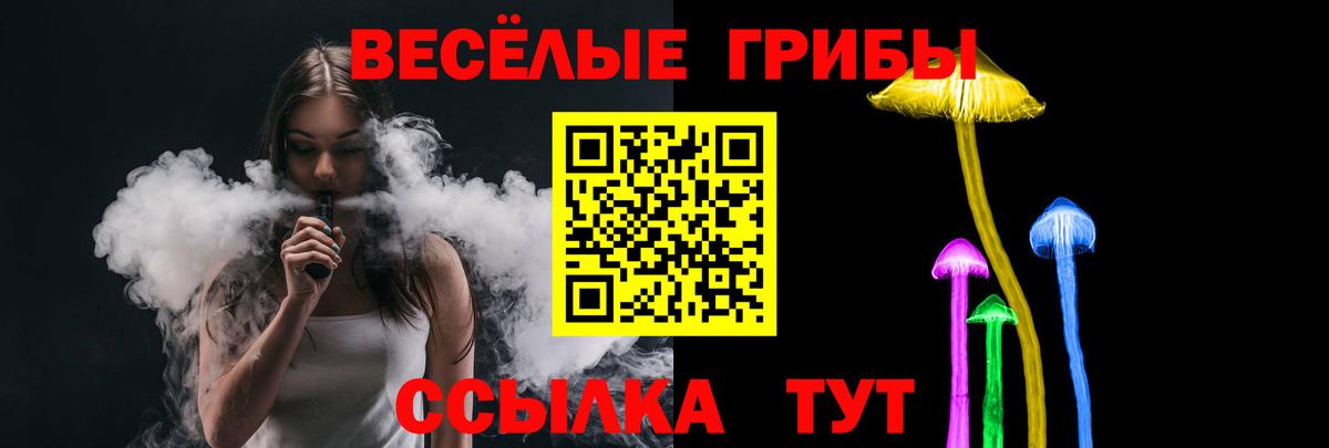 Псилоцибиновые грибы Cubensis  Вход с VPN  Полысаево 